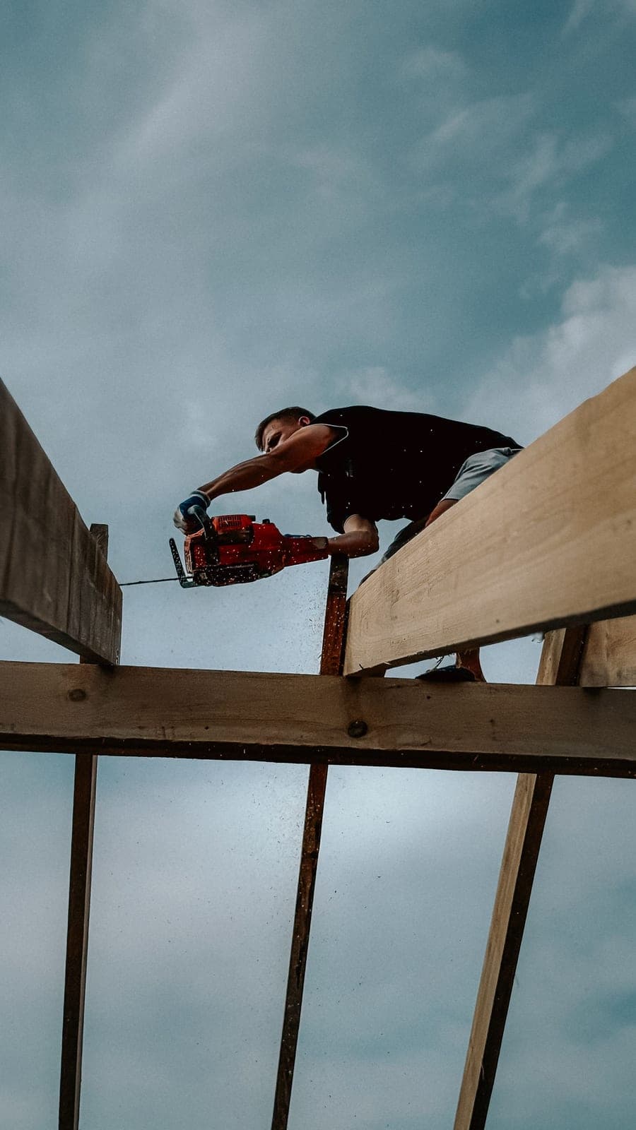 Charpentier de Goliath à l'œuvre sur une structure de bois